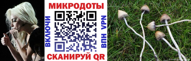 Псилоцибиновые грибы прущие грибы  Кондрово 